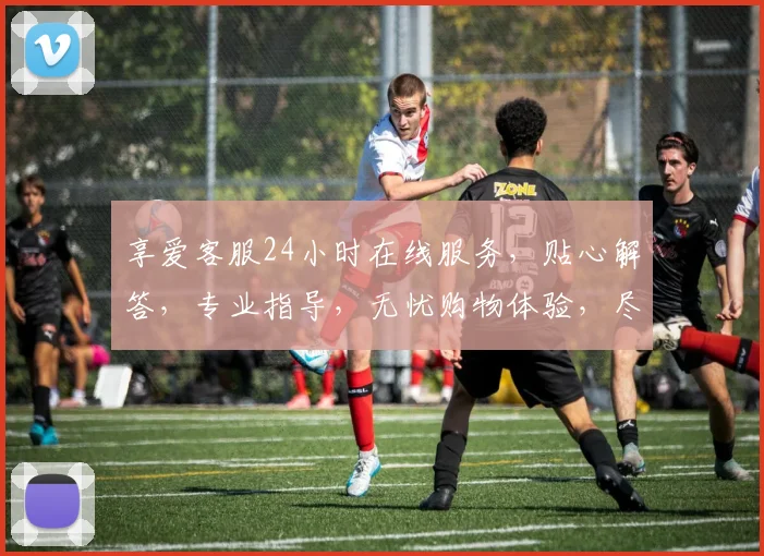 享爱客服24小时在线服务，贴心解答，专业指导，无忧购物体验，尽在每一刻