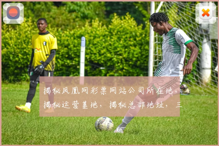 揭秘凤凰网彩票网站公司所在地，揭秘运营基地，揭秘总部地址，三重揭秘